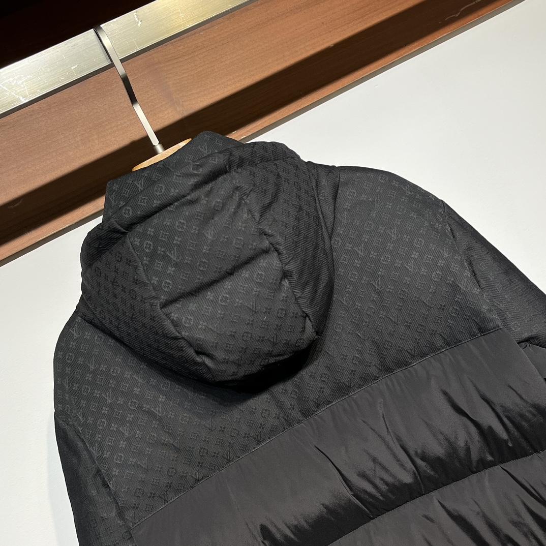 Louis Vuitton Down Jackets